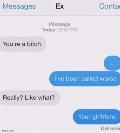 image tagged in bitch,insult,worse,girlfriend | made w/ Imgflip meme maker