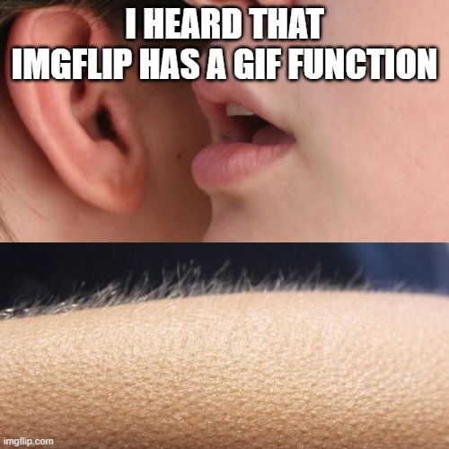 I've used imgflip for 2 years and never seen the Gif function, relatable? | I HEARD THAT IMGFLIP HAS A GIF FUNCTION | image tagged in whisper and goosebumps | made w/ Imgflip meme maker
