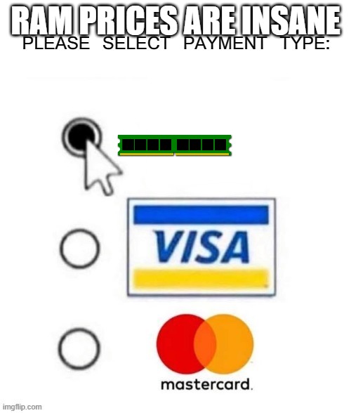 Ram Prices are so insane lol | RAM PRICES ARE INSANE | image tagged in please select payment type | made w/ Imgflip meme maker