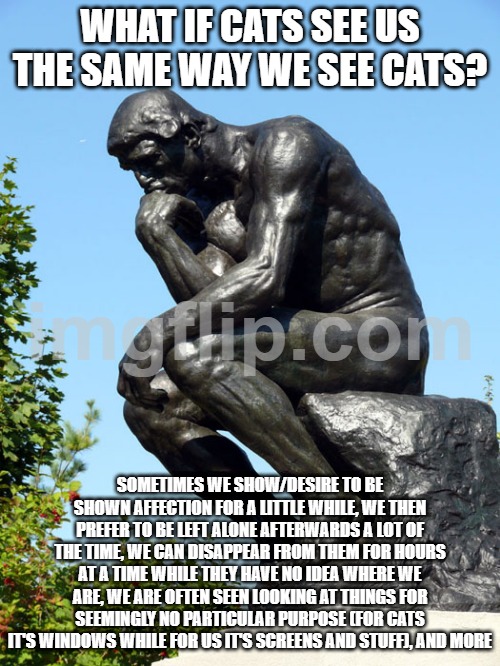 Thoughts? | WHAT IF CATS SEE US THE SAME WAY WE SEE CATS? SOMETIMES WE SHOW/DESIRE TO BE SHOWN AFFECTION FOR A LITTLE WHILE, WE THEN PREFER TO BE LEFT ALONE AFTERWARDS A LOT OF THE TIME, WE CAN DISAPPEAR FROM THEM FOR HOURS AT A TIME WHILE THEY HAVE NO IDEA WHERE WE ARE, WE ARE OFTEN SEEN LOOKING AT THINGS FOR SEEMINGLY NO PARTICULAR PURPOSE (FOR CATS IT'S WINDOWS WHILE FOR US IT'S SCREENS AND STUFF), AND MORE | image tagged in the thinker | made w/ Imgflip meme maker