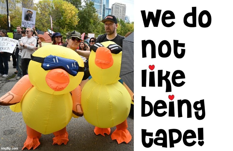 Ducks Protesting Duct Tape | image tagged in vince vance,inflatable,ducks,rubber ducks,protesting,duct tape | made w/ Imgflip meme maker