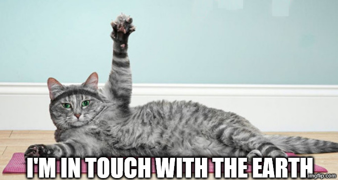 Yoga Cat | I'M IN TOUCH WITH THE EARTH | image tagged in yoga cat | made w/ Imgflip meme maker