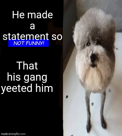he made a statement blank | He made a statement so That his gang yeeted him | image tagged in he made a statement blank | made w/ Imgflip meme maker