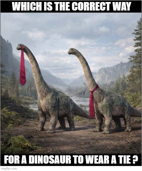 I Need Help ! | WHICH IS THE CORRECT WAY; FOR A DINOSAUR TO WEAR A TIE ? | image tagged in i need help,dinosaurs,wearing,ties | made w/ Imgflip meme maker
