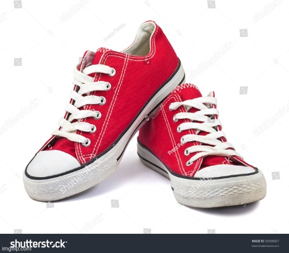 It's literally just a pair of shoes. | image tagged in pair of shoes | made w/ Imgflip meme maker