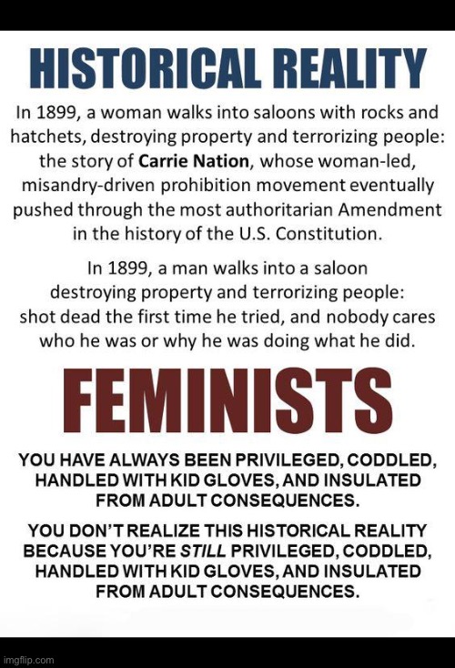 Left-wing “feminism” has caused untold damage over the last 100+ years. To both females and males. | image tagged in political meme,feminists,far left,privileged,no consequences,oblivious | made w/ Imgflip meme maker