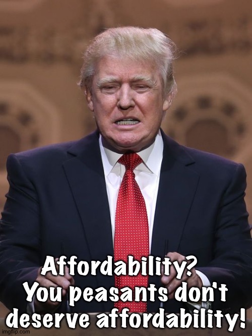 Affordability is for the filthy rich! | Affordability?  
You peasants don't deserve affordability! | image tagged in donald trump | made w/ Imgflip meme maker