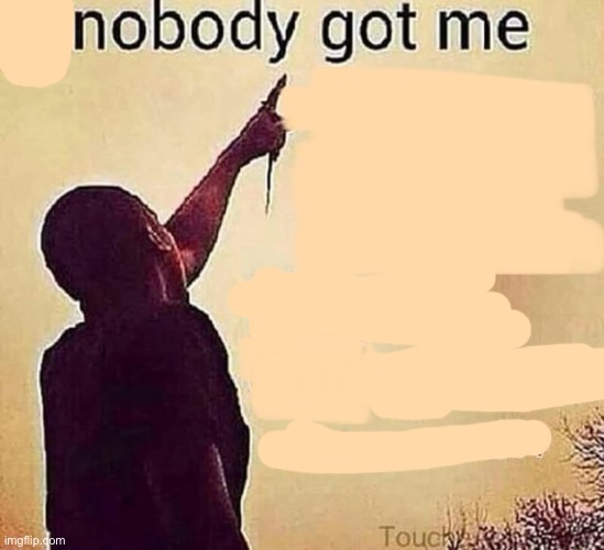 nobody got me | image tagged in if nobody got me blank | made w/ Imgflip meme maker