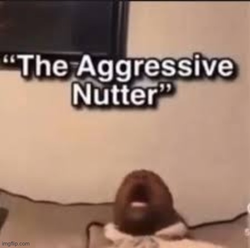 the aggressive nutter | image tagged in the aggressive nutter | made w/ Imgflip meme maker