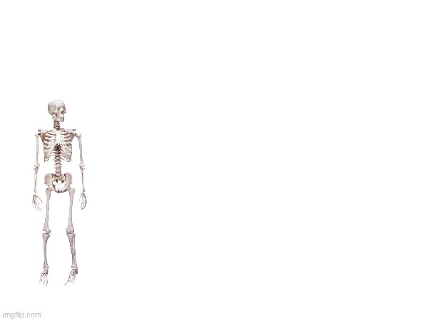 skeleton | made w/ Imgflip meme maker