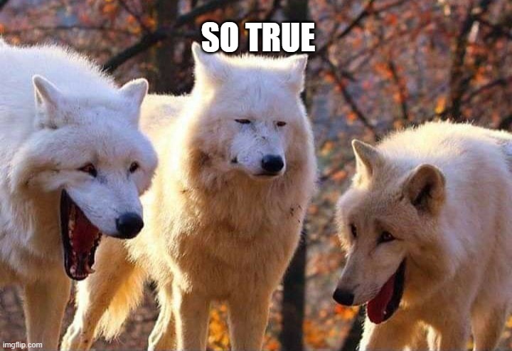 Laughing wolf | SO TRUE | image tagged in laughing wolf | made w/ Imgflip meme maker