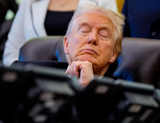 Trump sleeping oval office white house Nodfather Sleepy Donnie Blank Meme Template