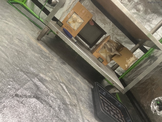 Fat fuck | made w/ Imgflip meme maker