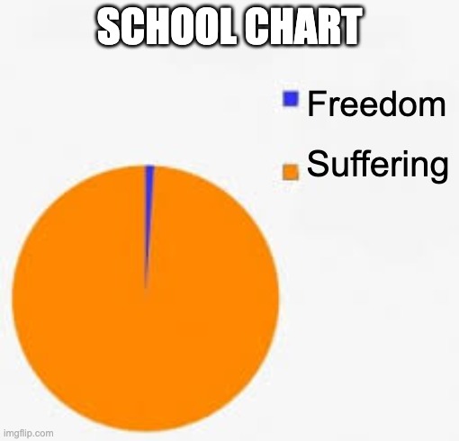 Pie Chart Meme | SCHOOL CHART; Freedom; Suffering | image tagged in pie chart meme | made w/ Imgflip meme maker