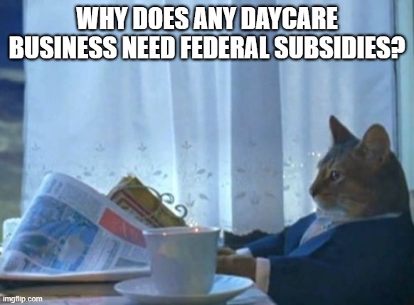 I Should Buy A Boat Cat Meme | WHY DOES ANY DAYCARE BUSINESS NEED FEDERAL SUBSIDIES? | image tagged in memes,i should buy a boat cat | made w/ Imgflip meme maker
