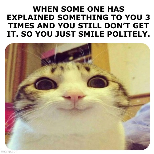 Title | WHEN SOME ONE HAS EXPLAINED SOMETHING TO YOU 3 TIMES AND YOU STILL DON’T GET IT. SO YOU JUST SMILE POLITELY. | image tagged in memes,funny,cat | made w/ Imgflip meme maker