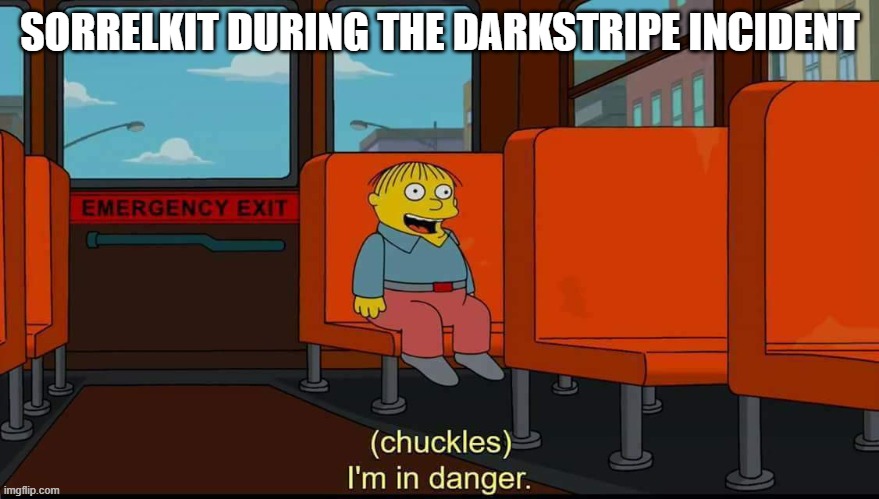 Sorrelkit | SORRELKIT DURING THE DARKSTRIPE INCIDENT | image tagged in i'm in danger | made w/ Imgflip meme maker
