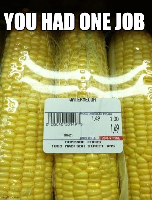 You Had One Job | YOU HAD ONE JOB | image tagged in chrisjoines1 | made w/ Imgflip meme maker