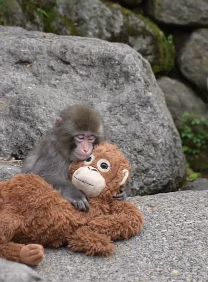 Punch Blank Meme Template