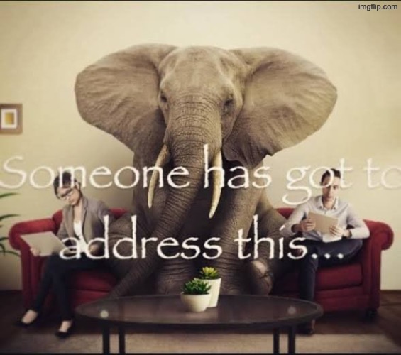 Someone has got to address this.. | image tagged in someone has got to address this | made w/ Imgflip meme maker