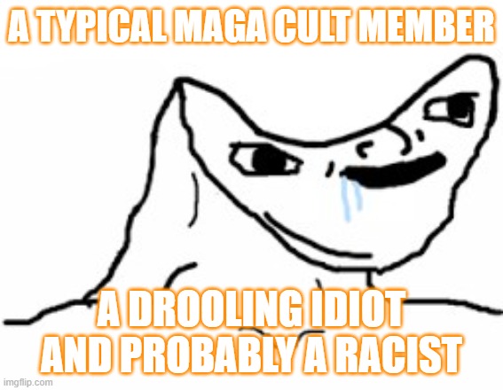 A TYPICAL MAGA CULT MEMBER A DROOLING IDIOT AND PROBABLY A RACIST | image tagged in drooling brainless idiot | made w/ Imgflip meme maker