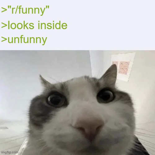 green text cat | >"r/funny"; >looks inside; >unfunny | image tagged in green text cat | made w/ Imgflip meme maker