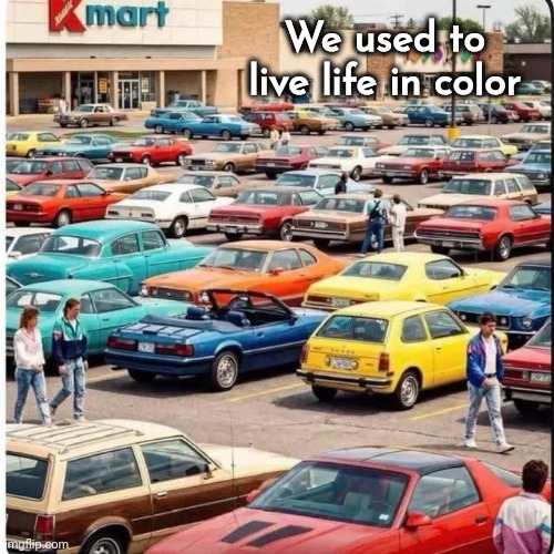 Back in my day | We used to live life in color | image tagged in dull and boring,what the hell happened here,black and white,paint is expensive,best i can do,50 shades of grey | made w/ Imgflip meme maker