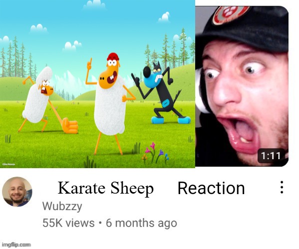 WHAT | Karate Sheep | image tagged in reaction shitpost,karate sheep | made w/ Imgflip meme maker