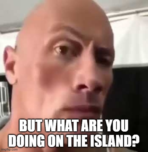 The Rock Eyebrows | BUT WHAT ARE YOU DOING ON THE ISLAND? | image tagged in the rock eyebrows | made w/ Imgflip meme maker