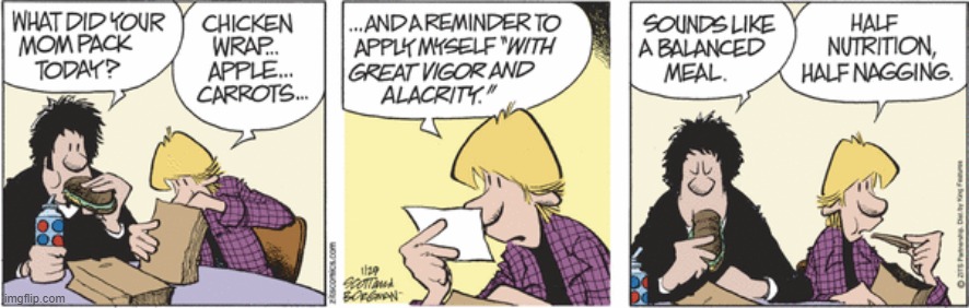 Zits | image tagged in comics | made w/ Imgflip meme maker