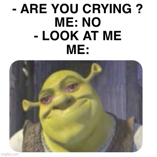 Every thing is fine.. | - ARE YOU CRYING ?
ME: NO
- LOOK AT ME
ME: | image tagged in memes,funny,relatable,relatable memes,shrek | made w/ Imgflip meme maker