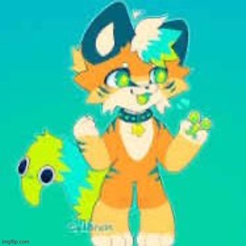 Him (owner note : nice dog you have!) | image tagged in furry,sparklefur,cute dog | made w/ Imgflip meme maker