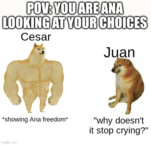 dominicana meme | POV: YOU ARE ANA LOOKING AT YOUR CHOICES; Cesar; Juan; *showing Ana freedom*; "why doesn't it stop crying?" | image tagged in memes,buff doge vs cheems | made w/ Imgflip meme maker
