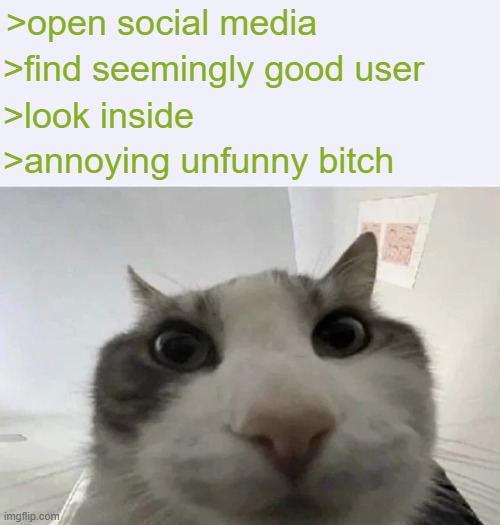 (note for mods: this is not directed at anyone) | >open social media; >find seemingly good user; >look inside; >annoying unfunny bitch | image tagged in green text cat | made w/ Imgflip meme maker