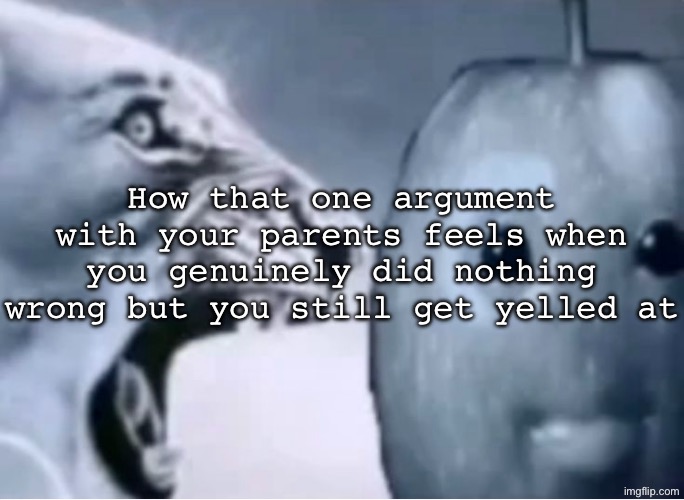 Ragebaiting the twin | How that one argument with your parents feels when you genuinely did nothing wrong but you still get yelled at | image tagged in ragebaiting the twin | made w/ Imgflip meme maker