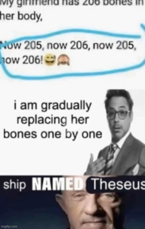 Ship named theseus | image tagged in ship named theseus | made w/ Imgflip meme maker