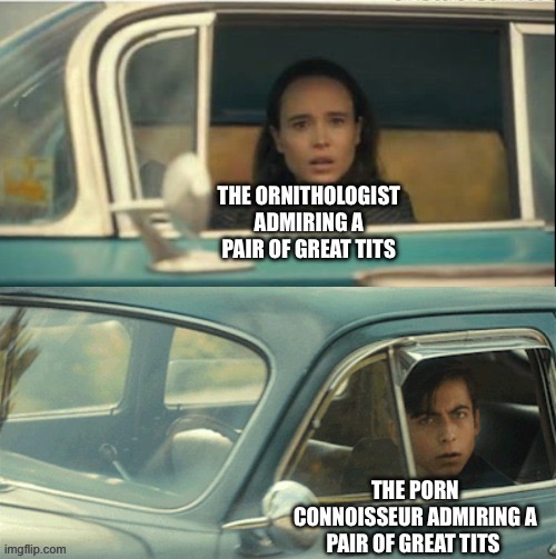 Only the non-dirty minded will get it | THE ORNITHOLOGIST ADMIRING A PAIR OF GREAT TITS; THE PORN CONNOISSEUR ADMIRING A PAIR OF GREAT TITS | image tagged in vanya and five,ornithology,science,bird joke,humor,lewd | made w/ Imgflip meme maker