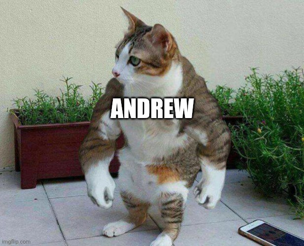 Buff cat | ANDREW | image tagged in buff cat | made w/ Imgflip meme maker