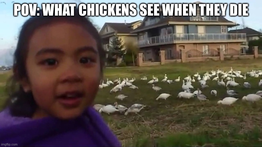 Look at All Those Chickens | POV: WHAT CHICKENS SEE WHEN THEY DIE | image tagged in look at all those chickens | made w/ Imgflip meme maker