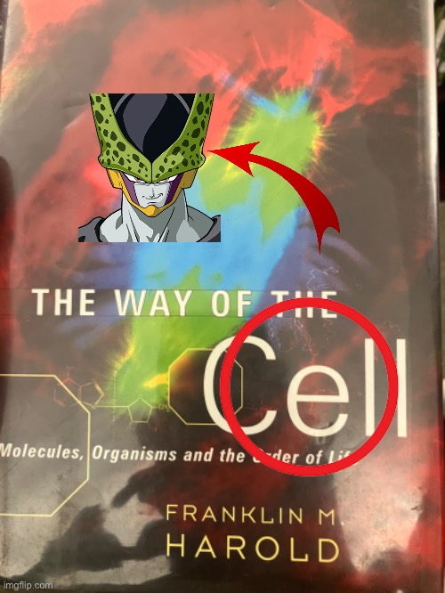 Hehe funny reference | image tagged in dragonball z,cell | made w/ Imgflip meme maker