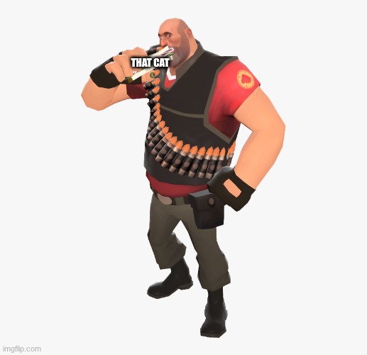 yiom yiom yiom | THAT CAT | image tagged in yiom yiom yiom | made w/ Imgflip meme maker