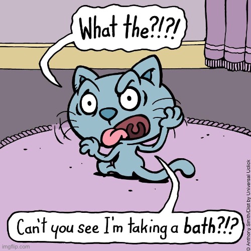 Cattitude | image tagged in cats,comics,cattitude,taking a bath,do you mind | made w/ Imgflip meme maker