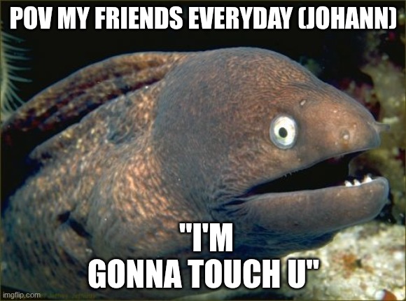 fr their soo weird | POV MY FRIENDS EVERYDAY (JOHANN); "I'M GONNA TOUCH U" | image tagged in memes,bad joke eel | made w/ Imgflip meme maker