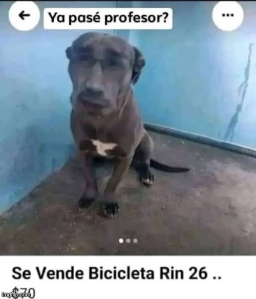 aymy is genuinely gonna be mad about this | image tagged in stream mood | made w/ Imgflip meme maker