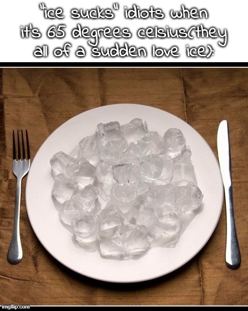 Plate of Ice Cubes | "ice sucks" idiots when it's 65 degrees celsius(they all of a sudden love ice): | image tagged in plate of ice cubes | made w/ Imgflip meme maker