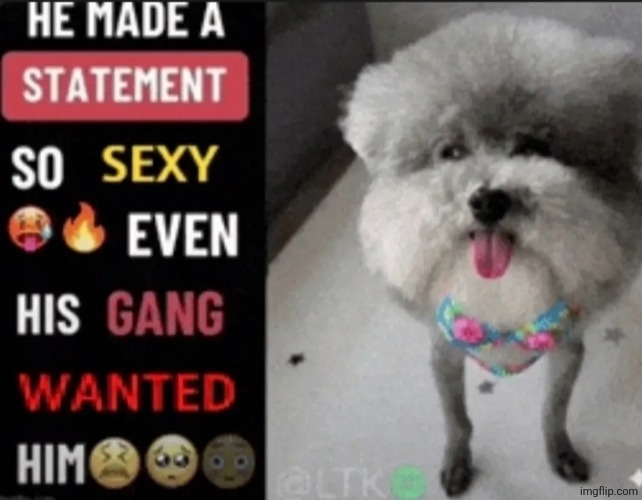 made w/ Imgflip meme maker