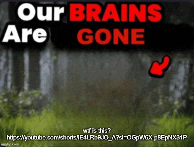 Our brains are GONE | wtf is this?
https://youtube.com/shorts/iE4LRb9JO_A?si=OGpW6X-p8EpNX31P | image tagged in our brains are gone | made w/ Imgflip meme maker