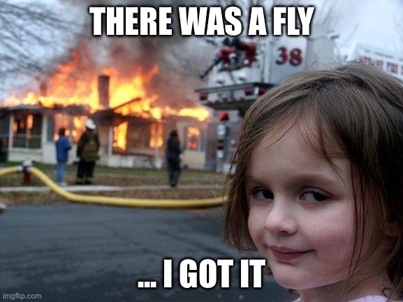 Disaster Girl Meme | THERE WAS A FLY; ... I GOT IT | image tagged in memes,disaster girl | made w/ Imgflip meme maker