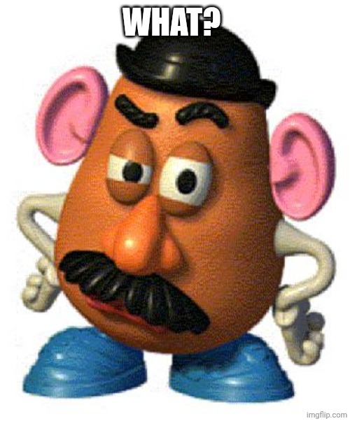 Mr Potato Head | WHAT? | image tagged in mr potato head | made w/ Imgflip meme maker