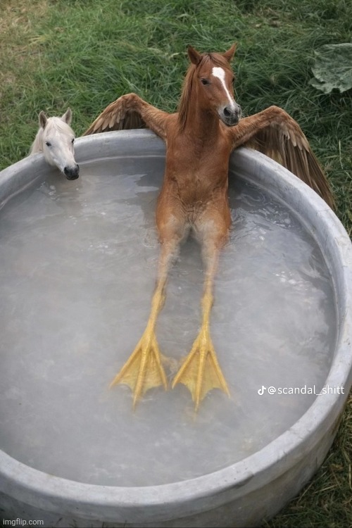 my hamster just did this, is this safe for geckos? | made w/ Imgflip meme maker